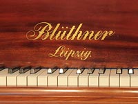 Piano Blüthner